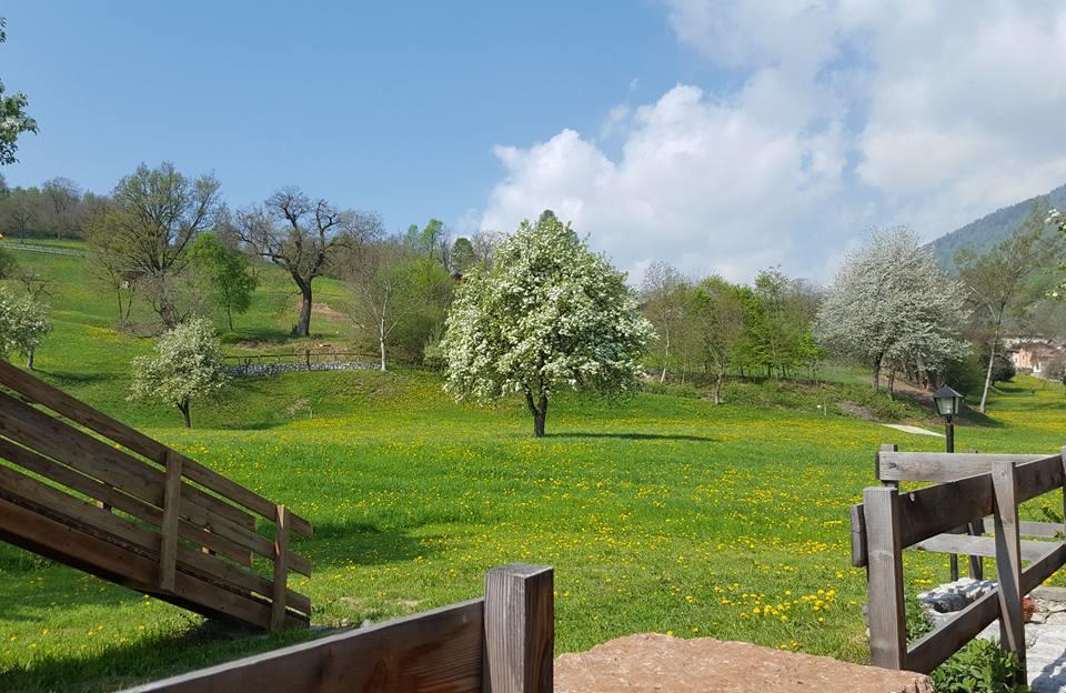 Villa Agriturismo Fattoria Dalcastagnè à Torcegno Extérieur photo